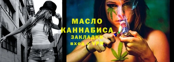 молекула духа Арсеньев