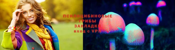 гидра Лиски