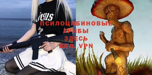 apvp Липки