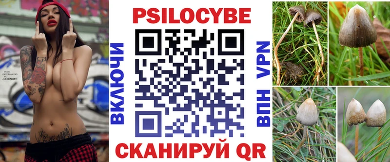Псилоцибиновые грибы Psilocybine cubensis  omg вход  Ужур  цены наркотик 